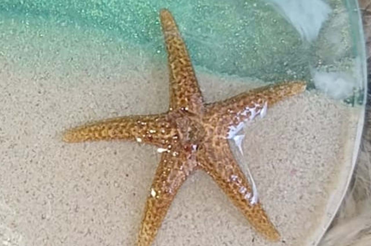 SOUVENIRS - Exuma - Great Guana Cay Adventures - Bahamas-tour operator