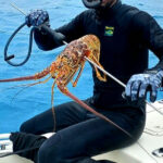 Spear Fishing Charter - Great Guana Cay Adventures - Black Point, Exuma, The Bahamas