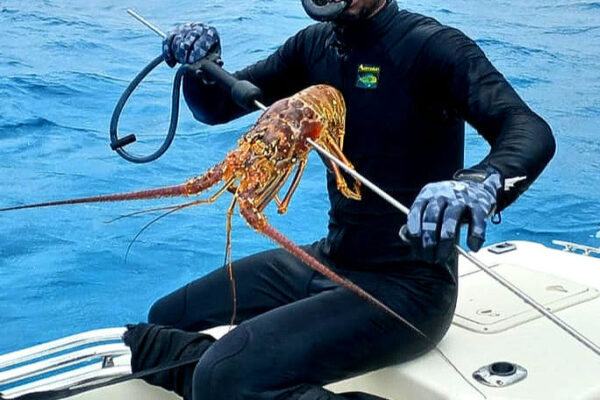 Spear Fishing Charter - Great Guana Cay Adventures - Black Point, Exuma, The Bahamas