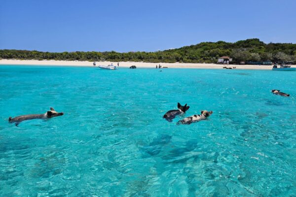Great Guana Cay Adventures - Black Point - Exuma - The Bahamas - Exuma Private Day Trips