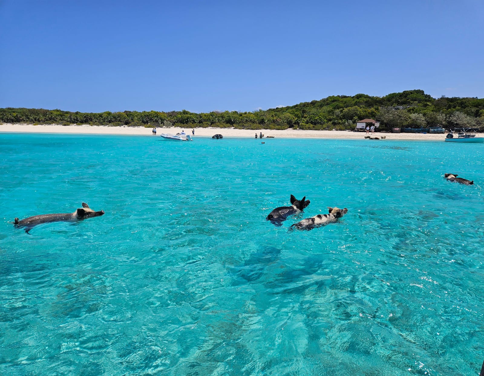 Great Guana Cay Adventures - Black Point - Exuma - The Bahamas - Exuma Private Day Trips