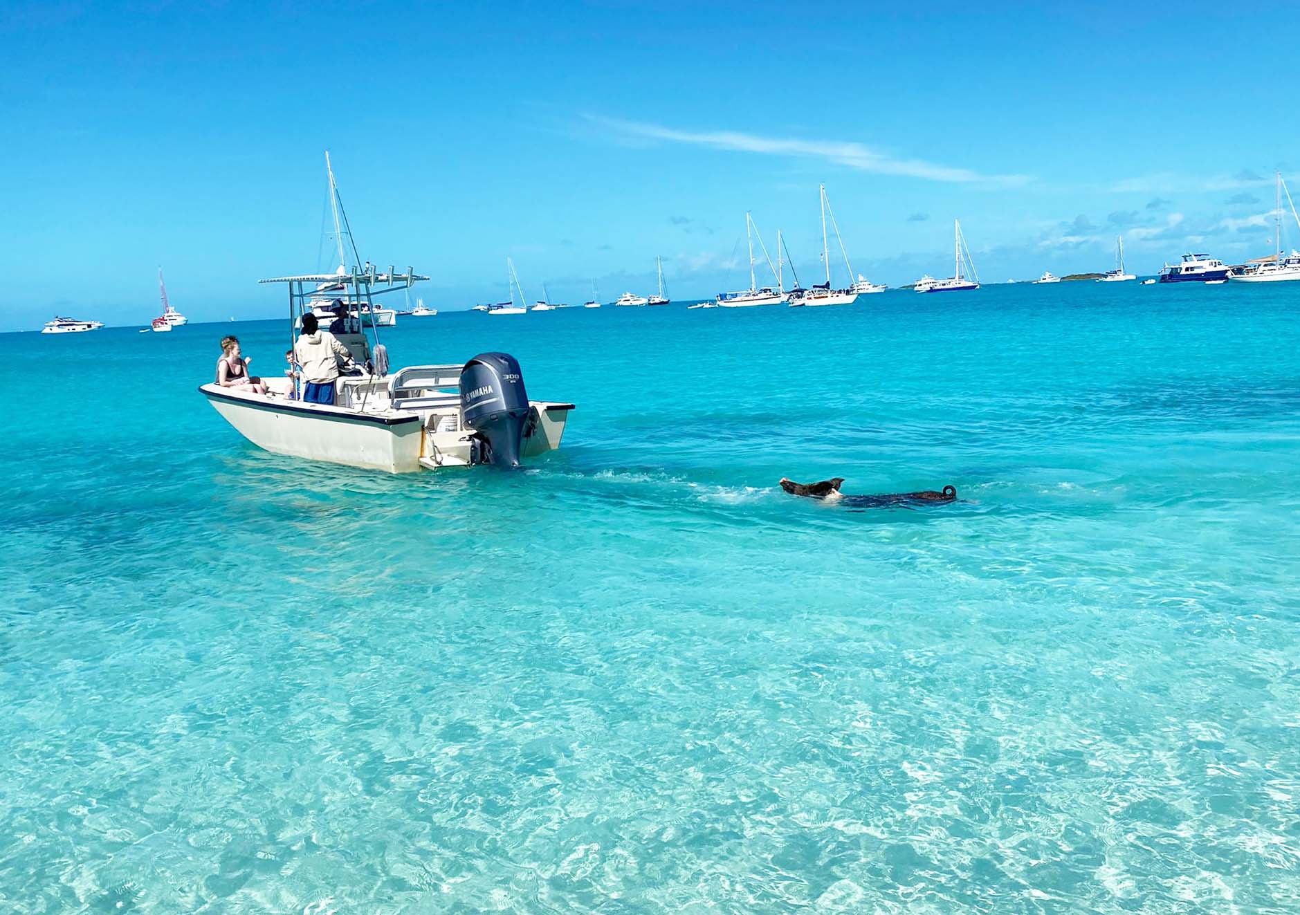 Great Guana Cay Adventures - Black Point, Exuma, The Bahamas - boat rental options