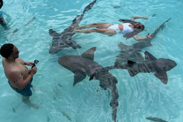 Great Guana Cay Adventures - Day Trips Exuma - Bahamas - Compass Cay Nurse Sharks