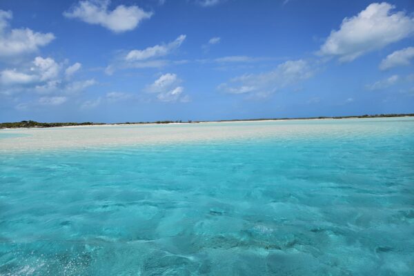 Great Guana Cay Adventures - Exuma - Bahamas - Exuma Sandbars