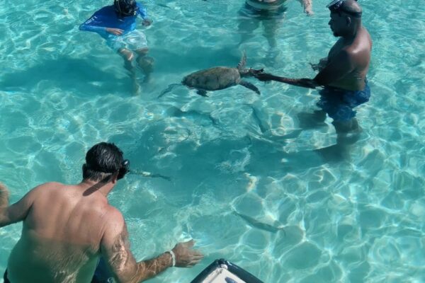 Great Guana Cay Adventures - Exuma - Bahamas - Farmers Cay – Sea Turtles