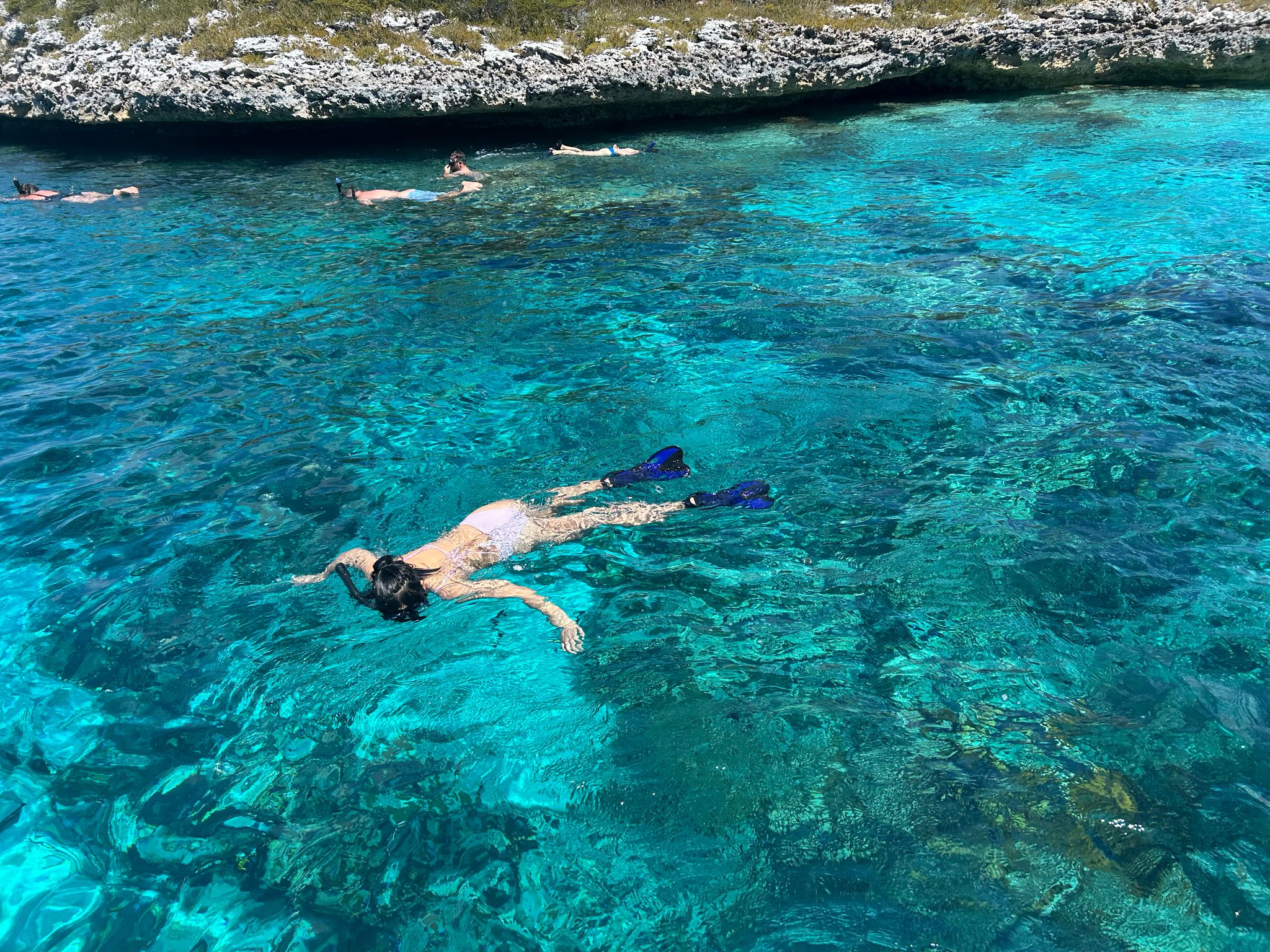 Great Guana Cay Adventures - Exuma - Bahamas - The Aquarium – Land & Sea Park