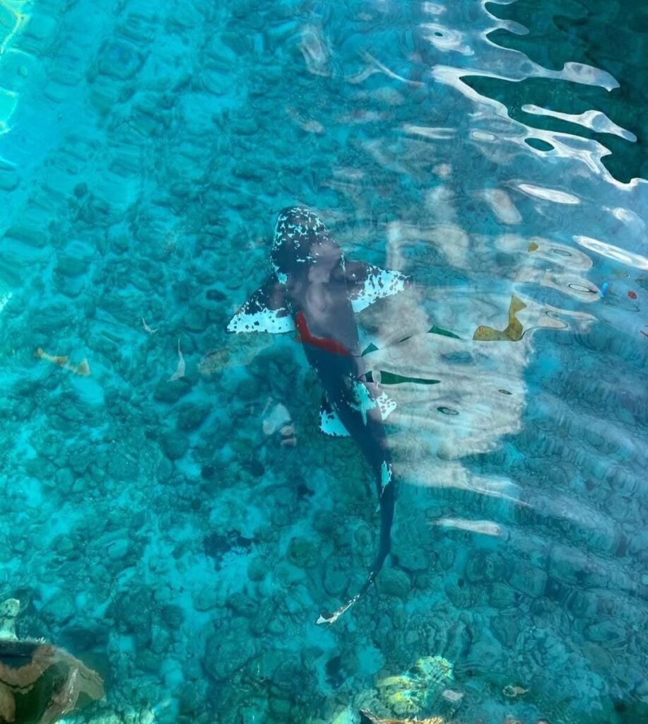 Marble – Our Pale Queen of the Sea - Great Guana Cay Adventures - Black Point, Exuma, The Bahamas