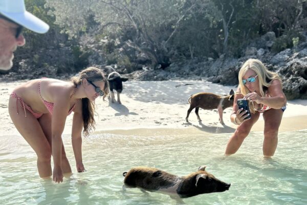 Exuma Private Half Day Tour - Great Guana Cay Adventures