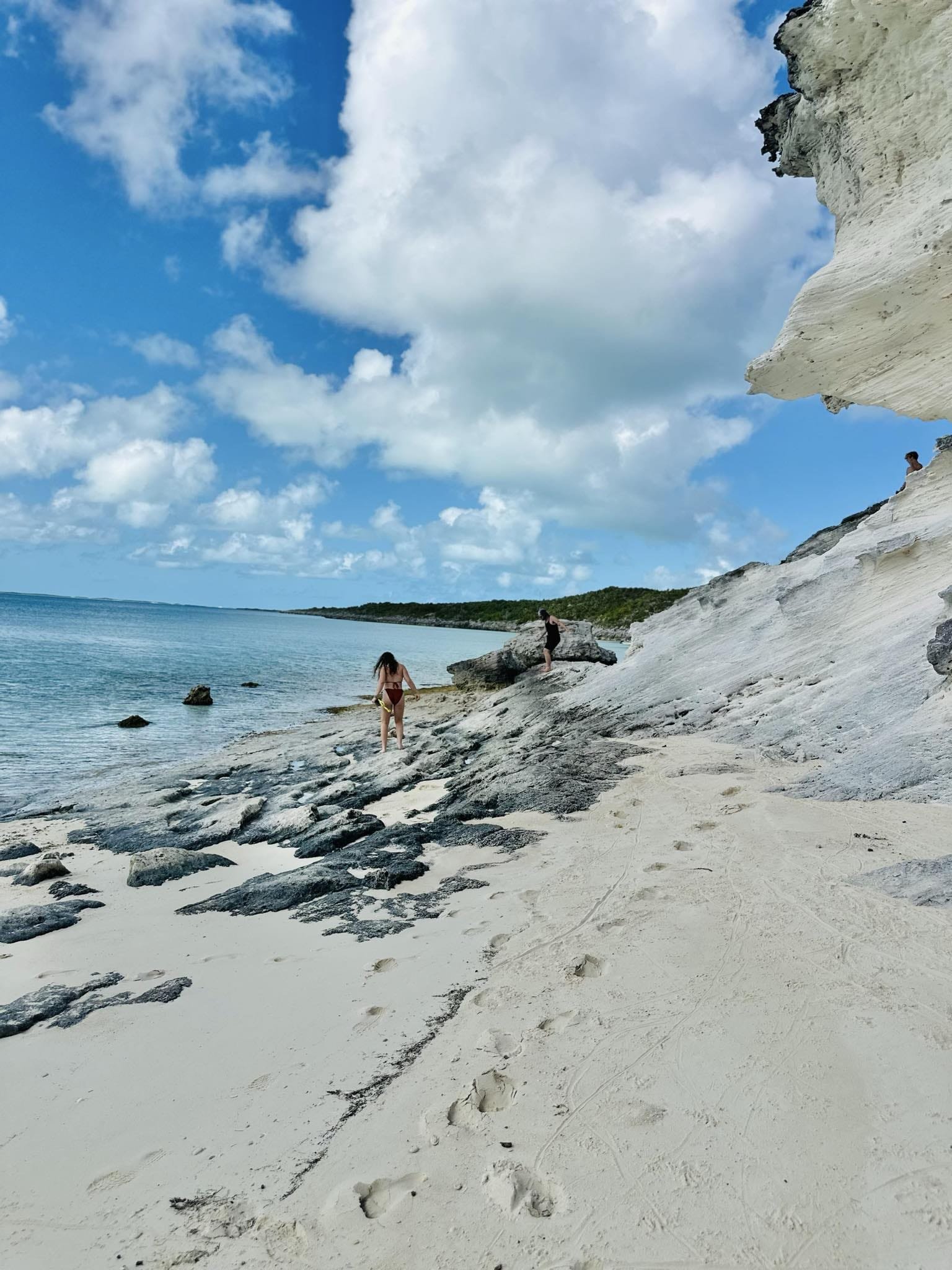 Original Swimming Pigs Shared Full Day All- Inclusive Exuma Experience - From Black Point , Staniel Cay or Nearby Cays - Image 15