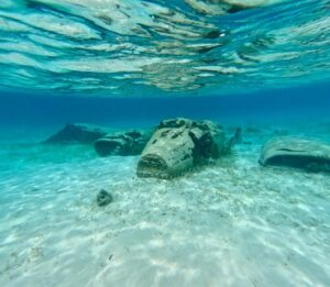 Original Swimming Pigs Shared Full Day All- Inclusive Exuma Experience - From Black Point , Staniel Cay or Nearby Cays