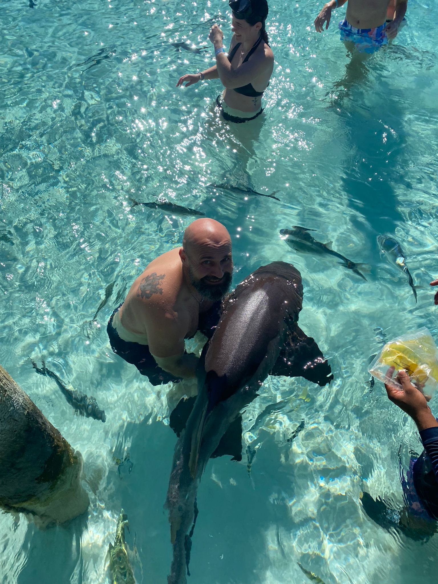 Original Swimming Pigs Shared Full Day All- Inclusive Exuma Experience - From Black Point , Staniel Cay or Nearby Cays - Image 14