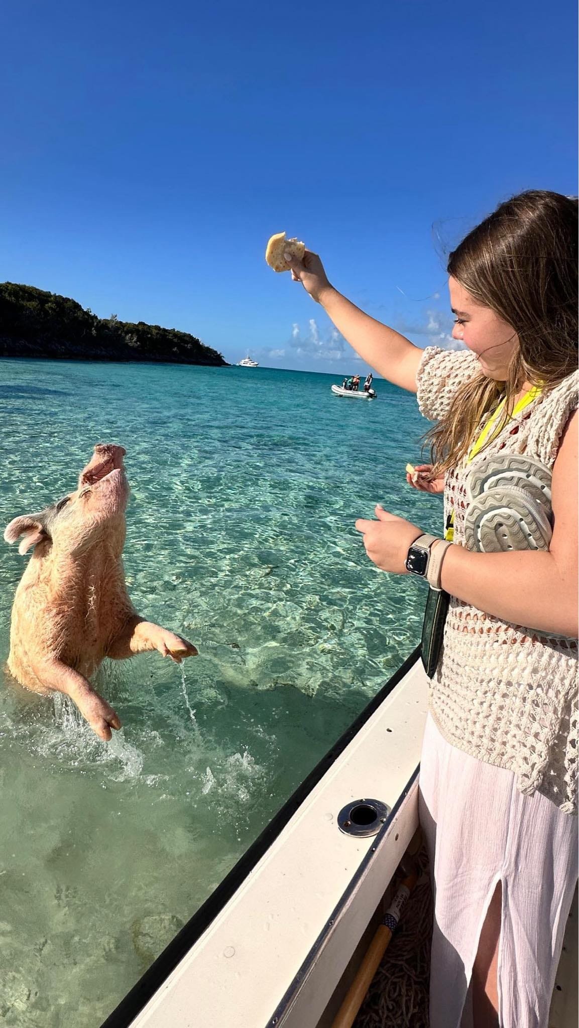 Original Swimming Pigs Shared Full Day All- Inclusive Exuma Experience - From Black Point , Staniel Cay or Nearby Cays - Image 17