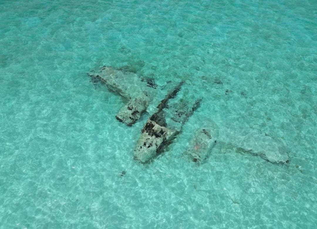 Original Swimming Pigs Shared Full Day All- Inclusive Exuma Experience - From Black Point , Staniel Cay or Nearby Cays - Image 6