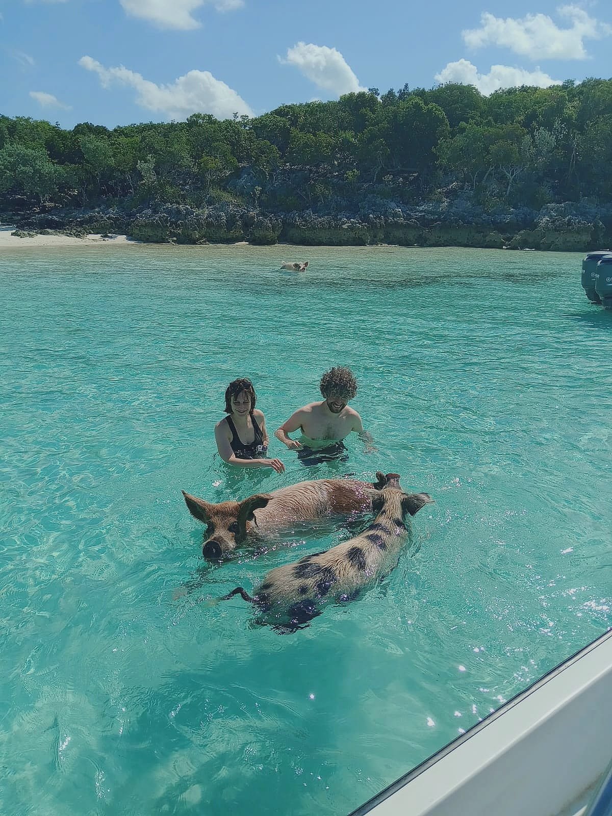 Exuma Cays Private Half Day All- Inclusive Experience - From Black Point/ Staniel Cay and Nearby Cays - Image 21