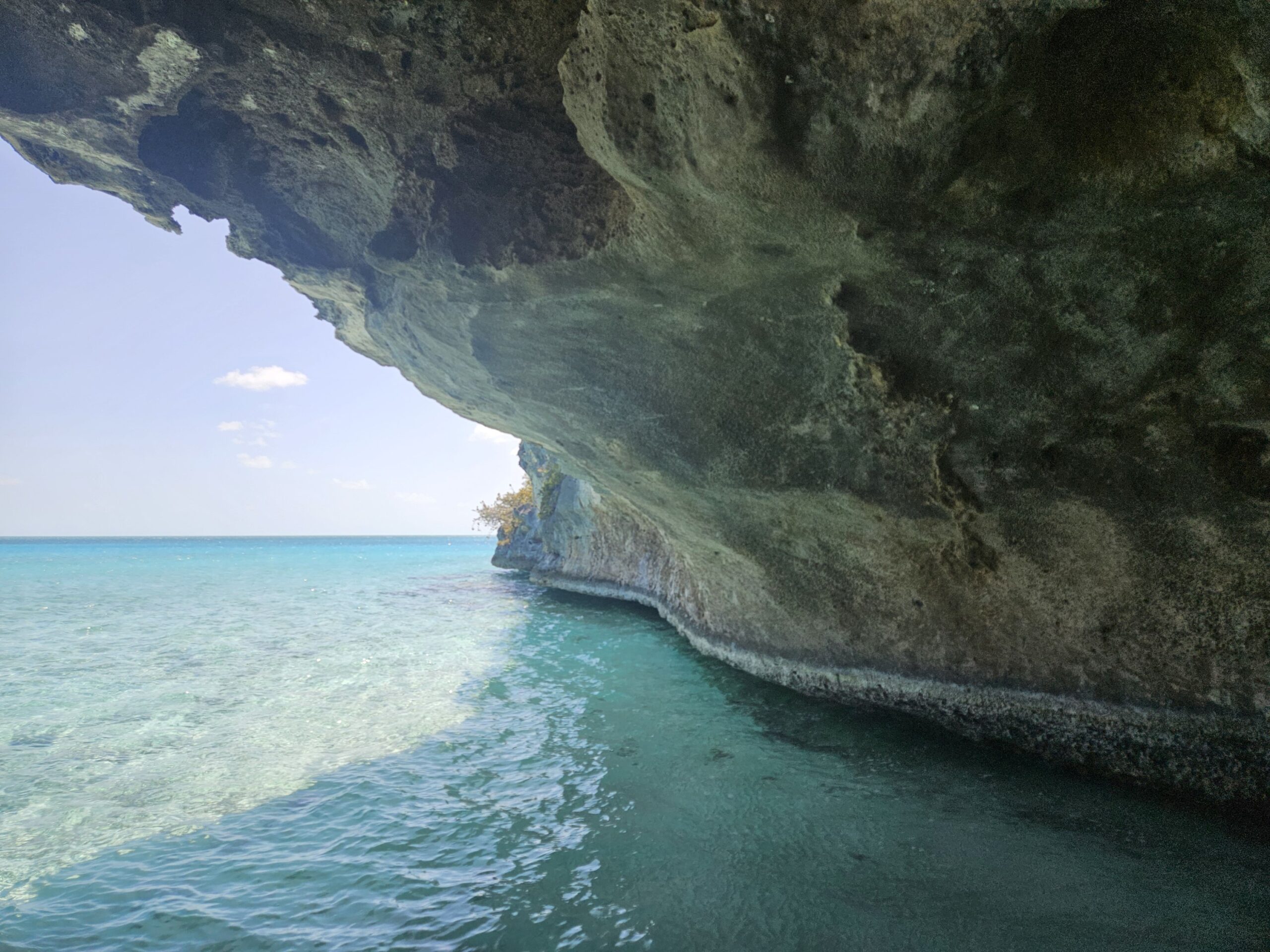Lost Cays & Turtles Shared Full Day All- Inclusive Exuma Experience - From Black Point , Staniel Cay or Nearby Cays - Image 6
