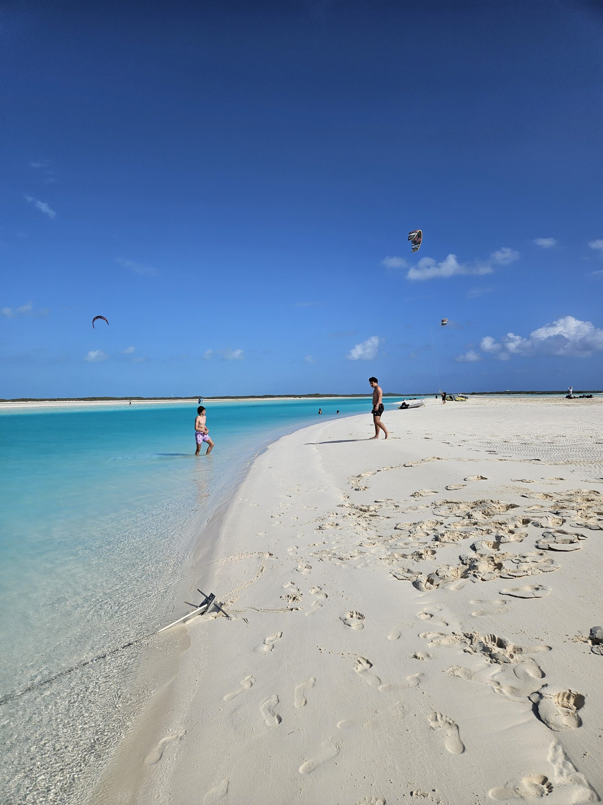 Original Swimming Pigs Shared Full Day All- Inclusive Exuma Experience - From Black Point , Staniel Cay or Nearby Cays - Image 31