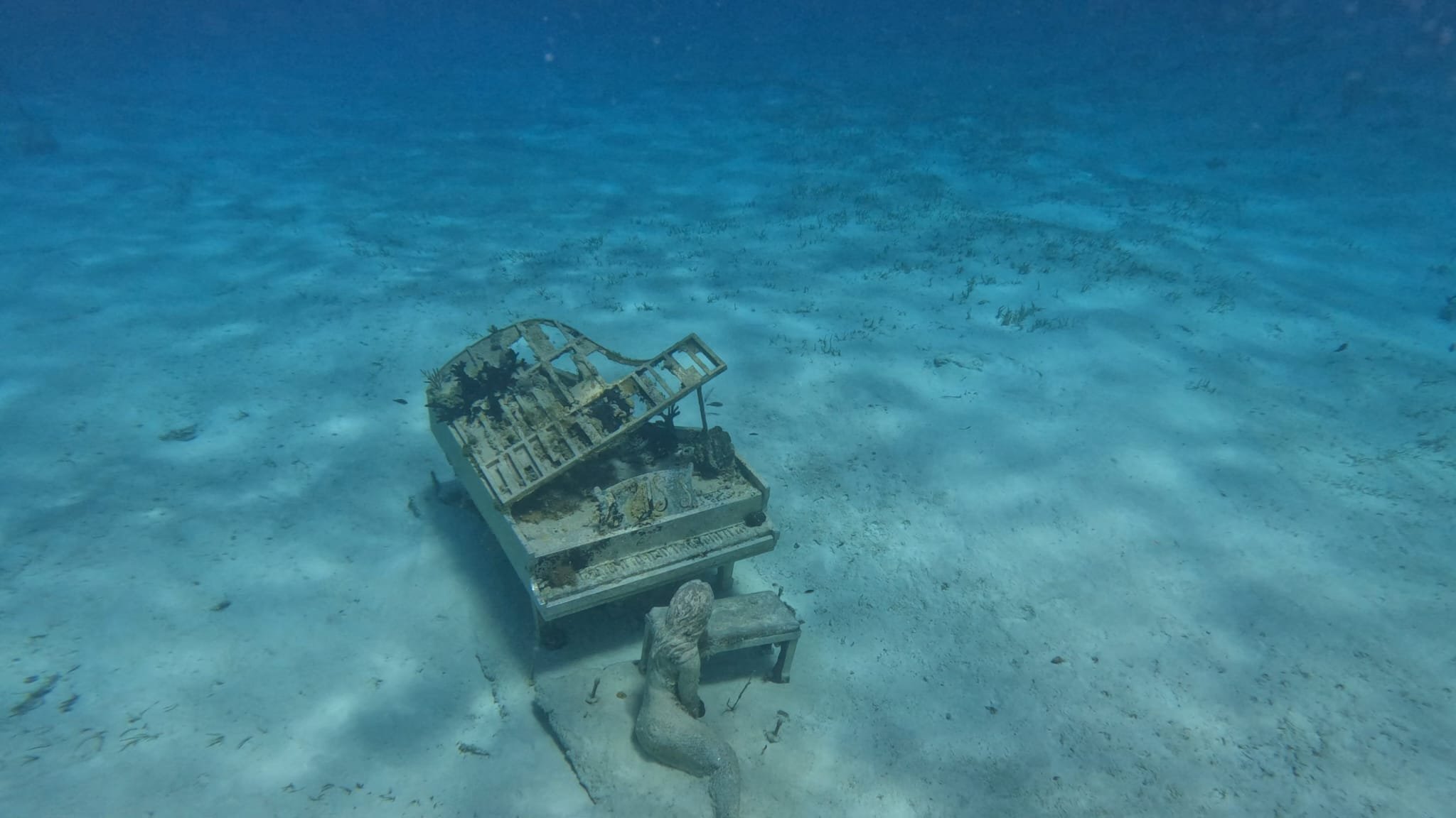 Lost Cays & Turtles Shared Full Day All- Inclusive Exuma Experience - From Black Point , Staniel Cay or Nearby Cays - Image 4