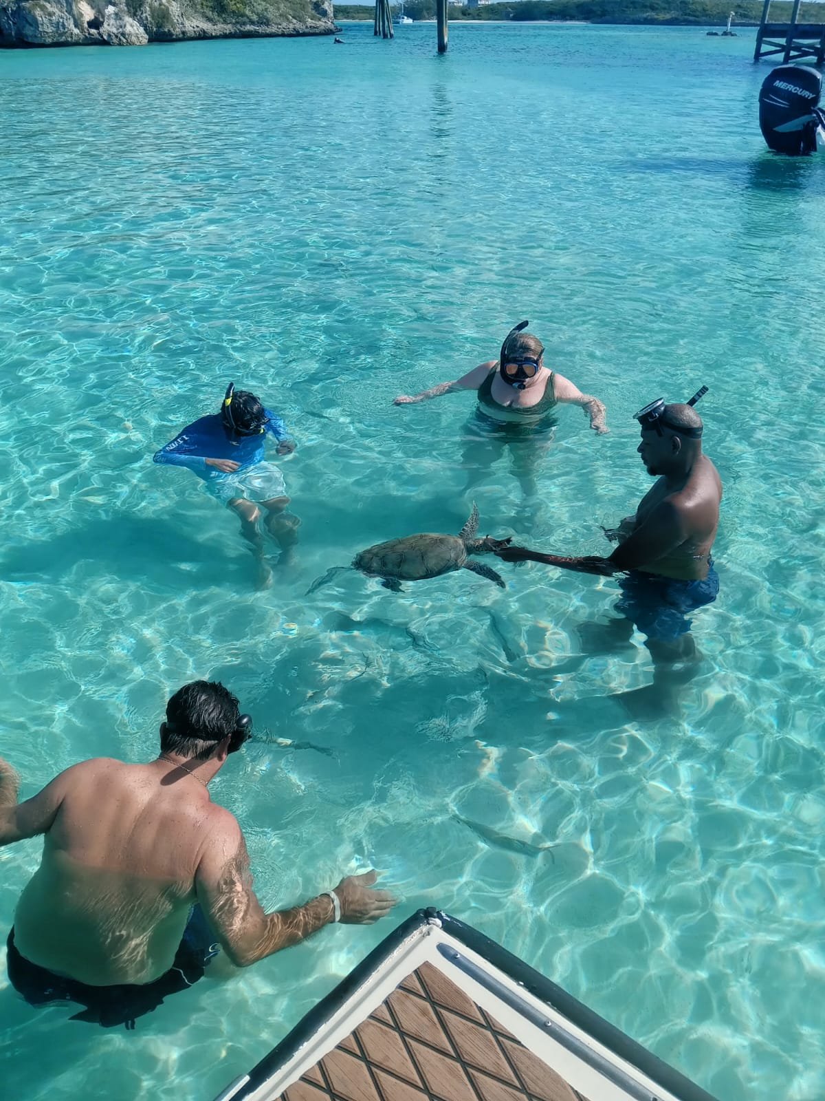 Lost Cays & Turtles Shared Full Day All- Inclusive Exuma Experience - From Black Point , Staniel Cay or Nearby Cays - Image 2