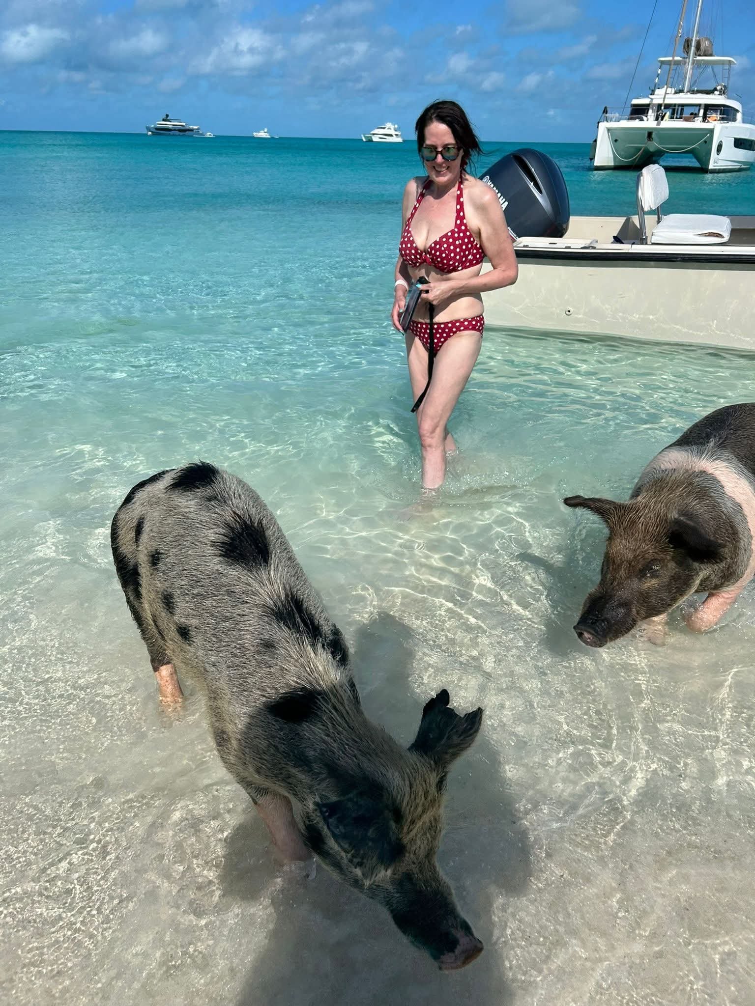 Original Swimming Pigs Shared Full Day All- Inclusive Exuma Experience - From Black Point , Staniel Cay or Nearby Cays - Image 20