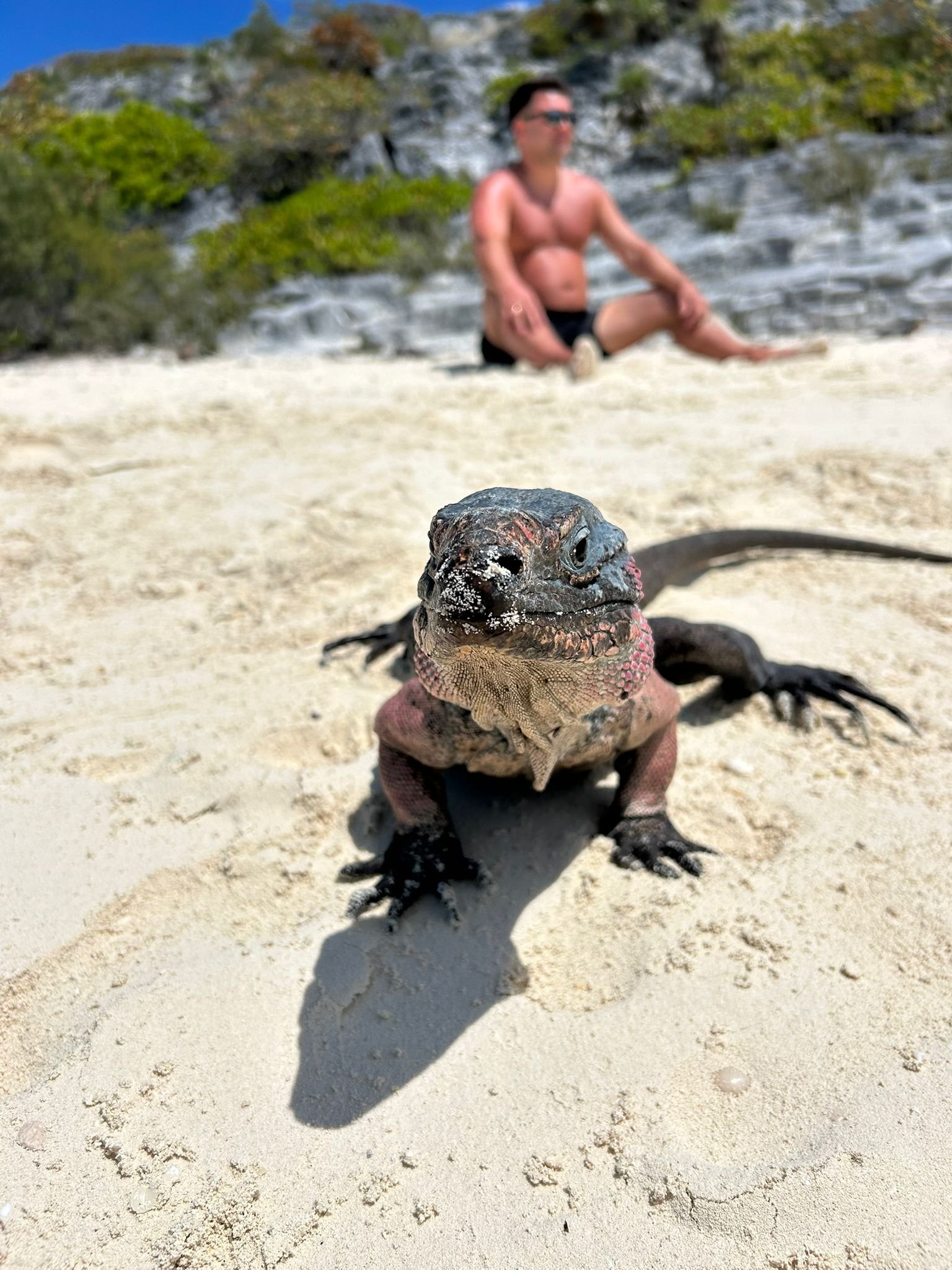 Exuma Cays Private Half Day All- Inclusive Experience - From Black Point/ Staniel Cay and Nearby Cays - Image 47