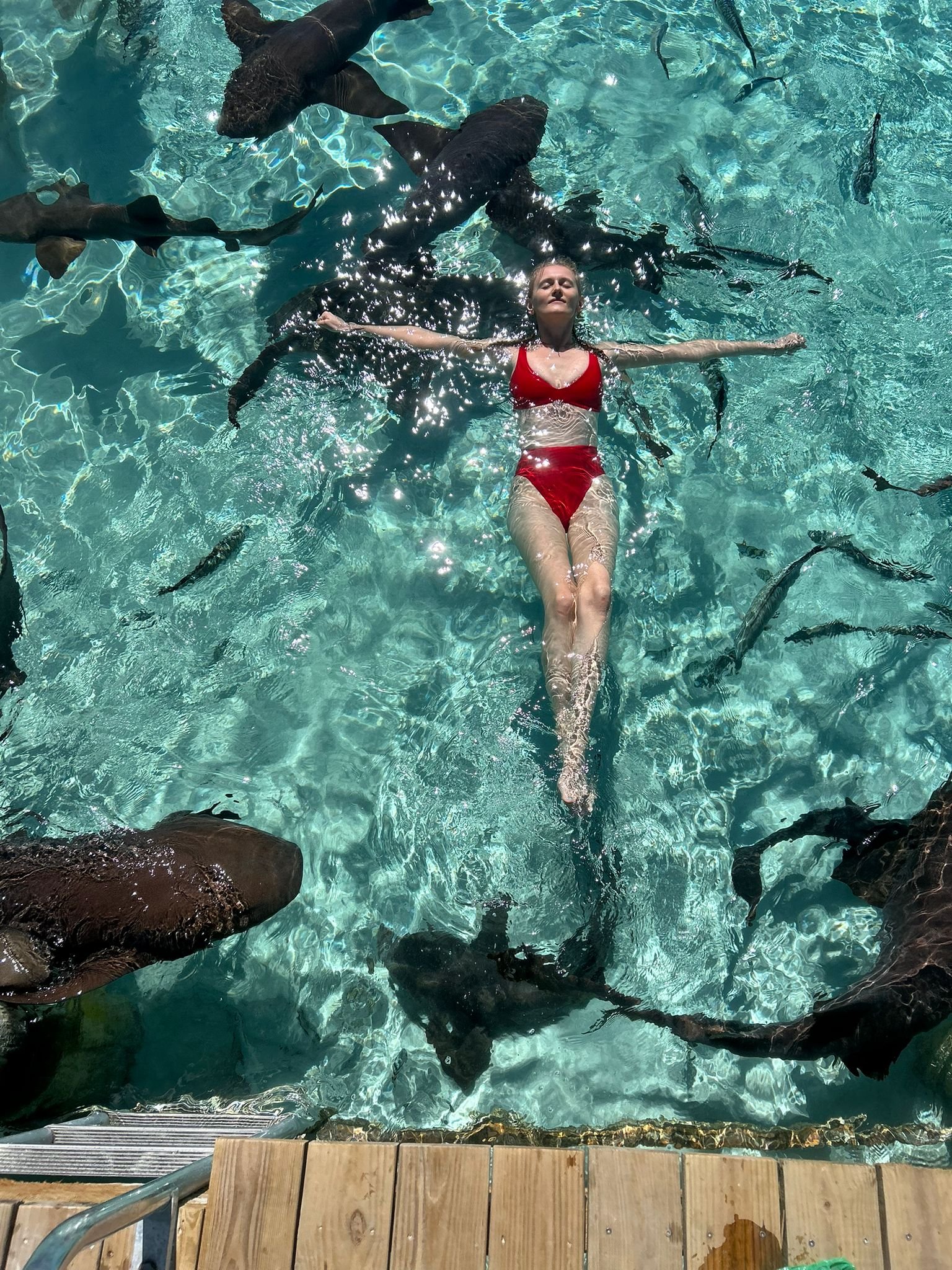 Exuma Cays Private Half Day All- Inclusive Experience - From Black Point/ Staniel Cay and Nearby Cays - Image 9