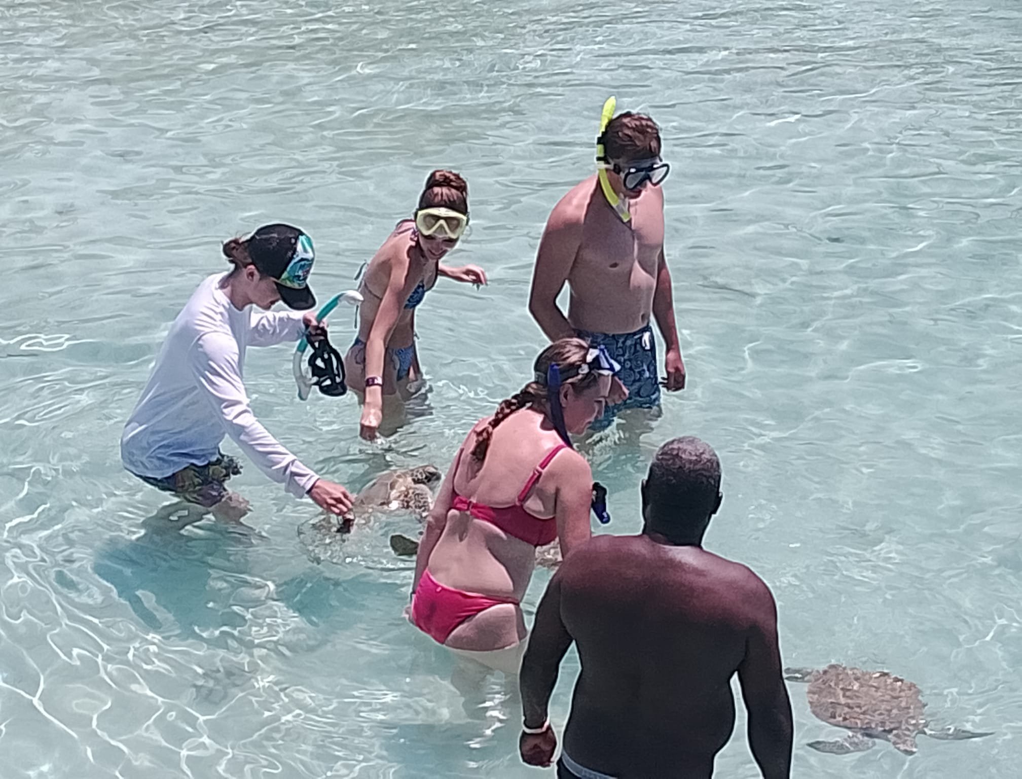 Exuma Cays Private Half Day All- Inclusive Experience - From Black Point/ Staniel Cay and Nearby Cays - Image 25