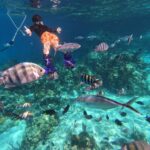 Exuma Bottom Sea Fishing Charter from Exuma Cays The Ultimate Bahamas Fishing Experience
