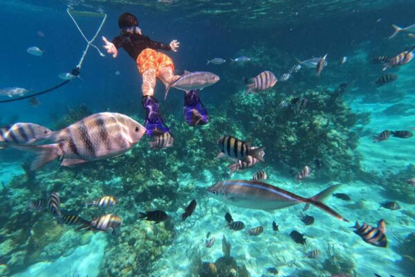 Exuma Bottom Sea Fishing Charter from Exuma Cays The Ultimate Bahamas Fishing Experience