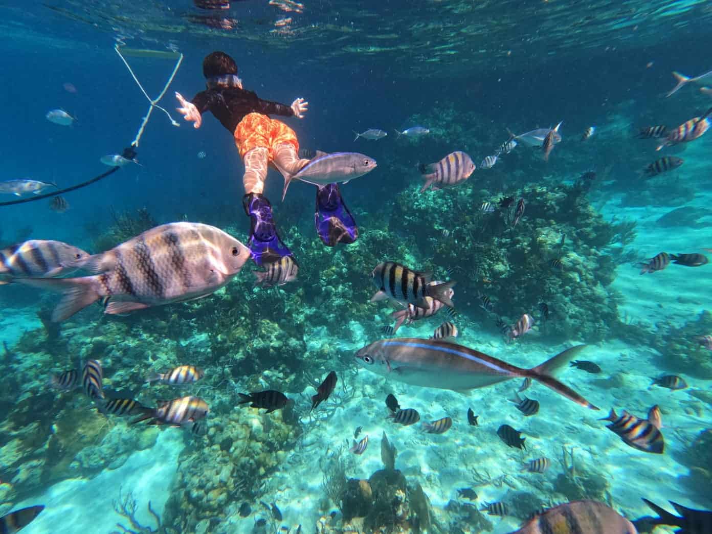 Exuma Bottom Sea Fishing Charter from Exuma Cays The Ultimate Bahamas Fishing Experience