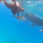 Exuma Deep Sea Fishing Charter from Exuma Cays Experience Offshore Fishing in the Heart of the Bahamas