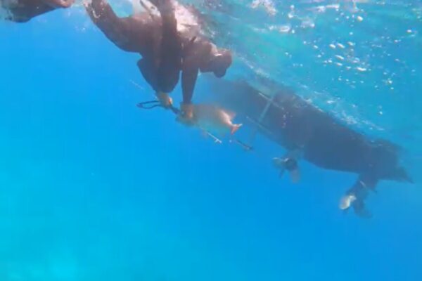 Exuma Deep Sea Fishing Charter from Exuma Cays Experience Offshore Fishing in the Heart of the Bahamas