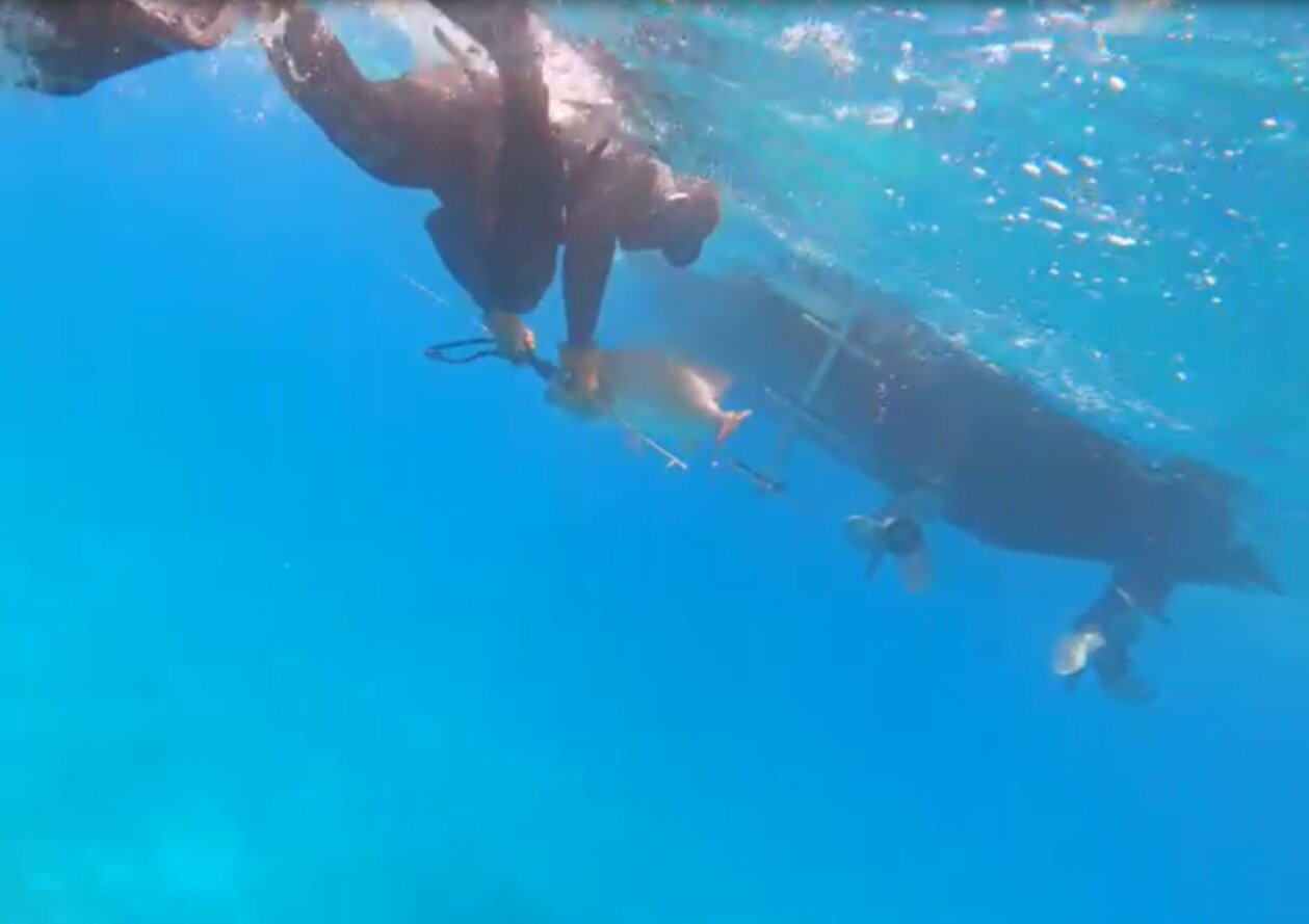 Exuma Deep Sea Fishing Charter from Exuma Cays Experience Offshore Fishing in the Heart of the Bahamas