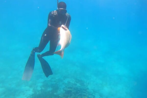Exuma Deep Sea Fishing Charter from Nassau
