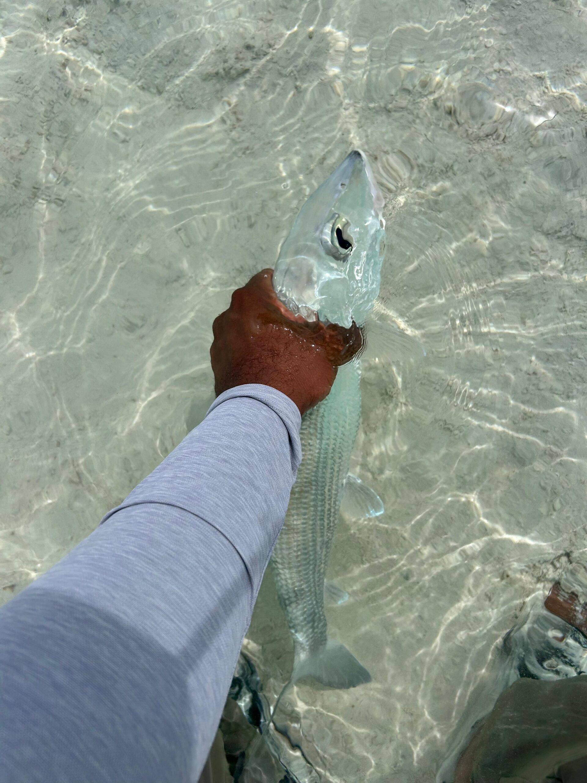 Nassau Bone Fishing Private Full Day Experience - Image 6