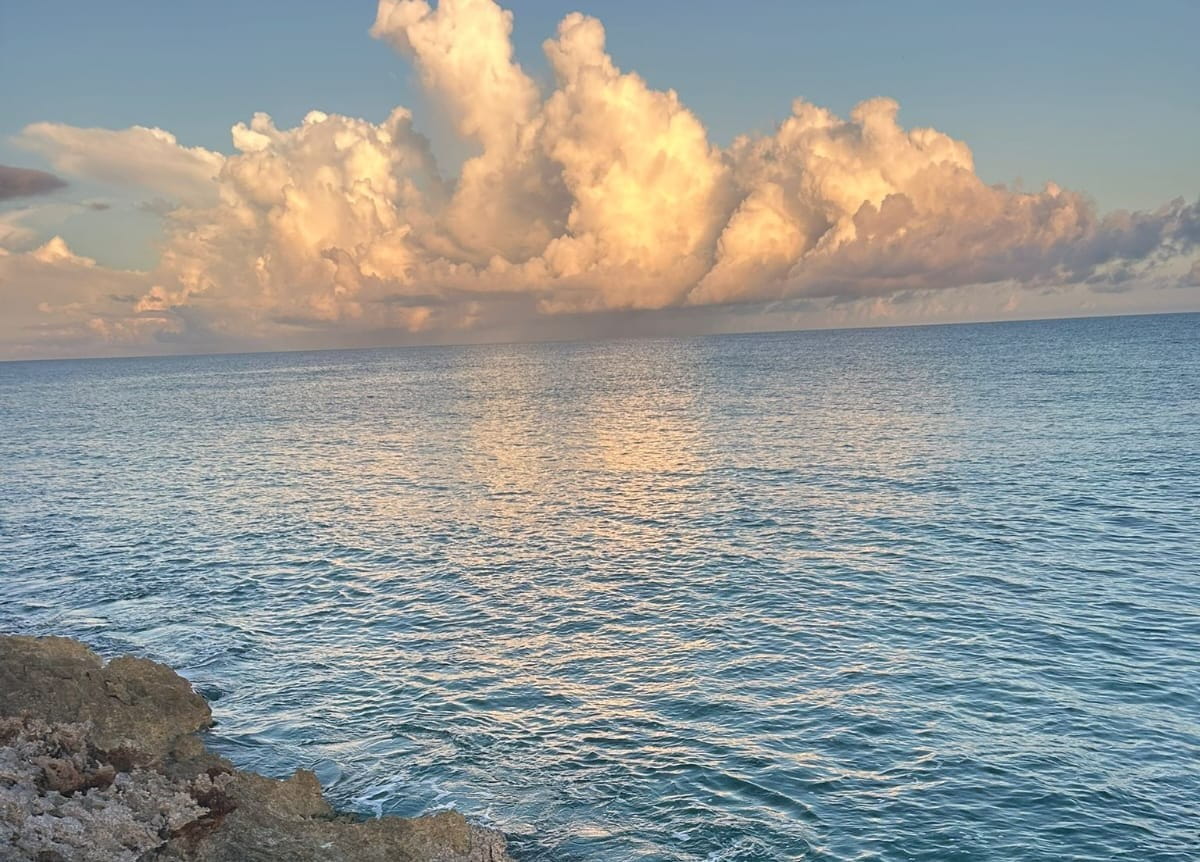 Moonlit Feast Experience from Exuma Cays – The Ultimate Romantic Sunset Cruise and Beachside Dinner